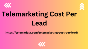 Telemarketing Cost Per Lead