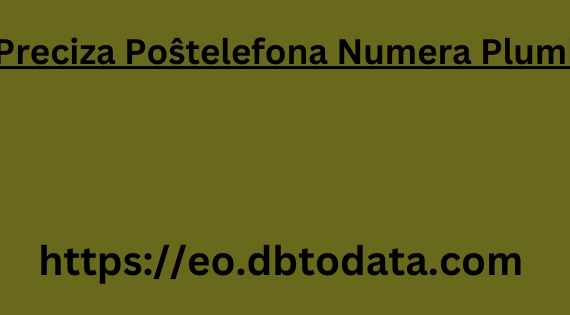 Preciza Poŝtelefona Numera Plumbo