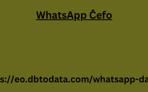 WhatsApp Ĉefo