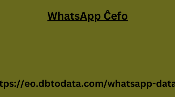 WhatsApp Ĉefo