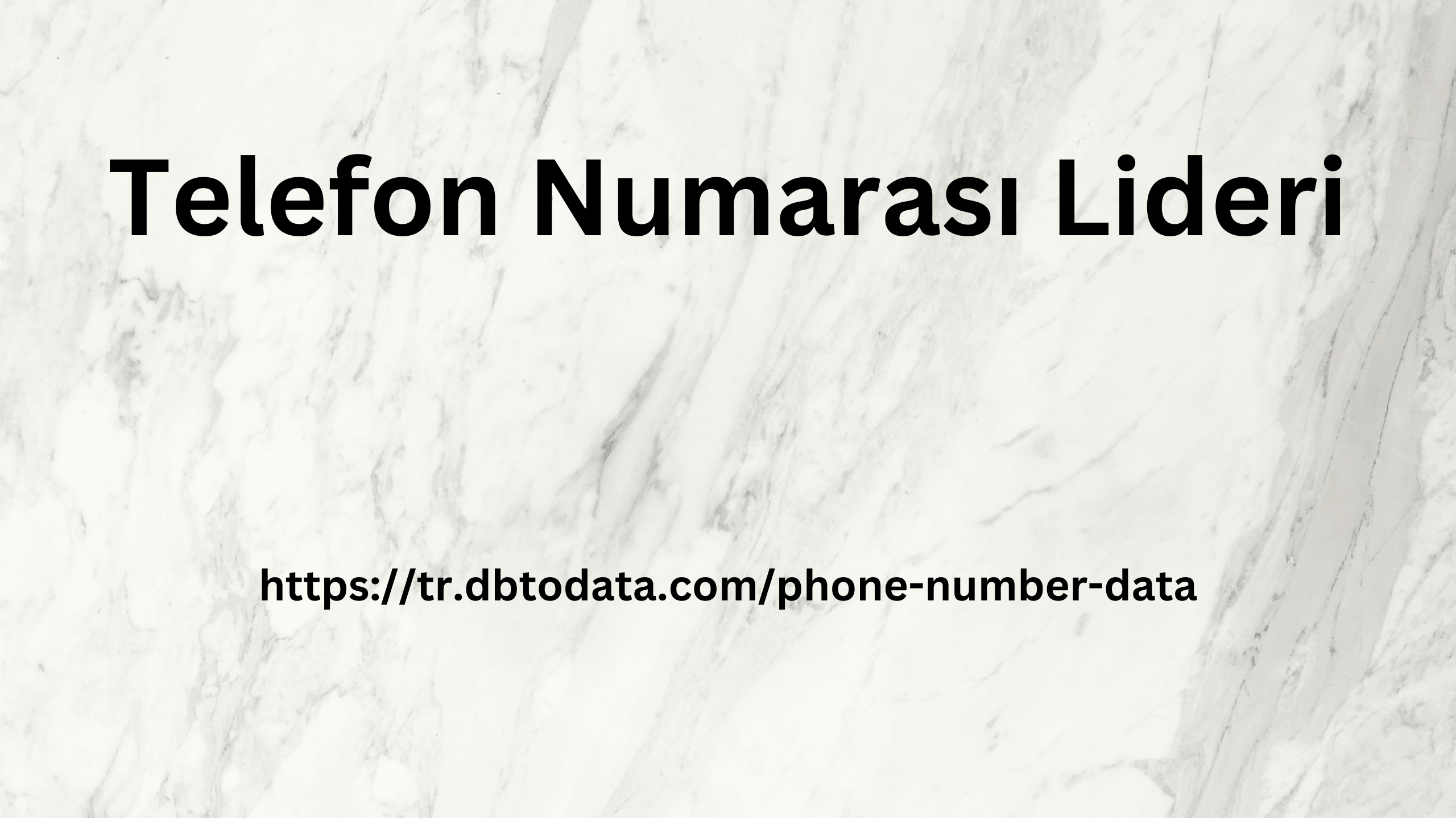 Telefon Numarası Lideri