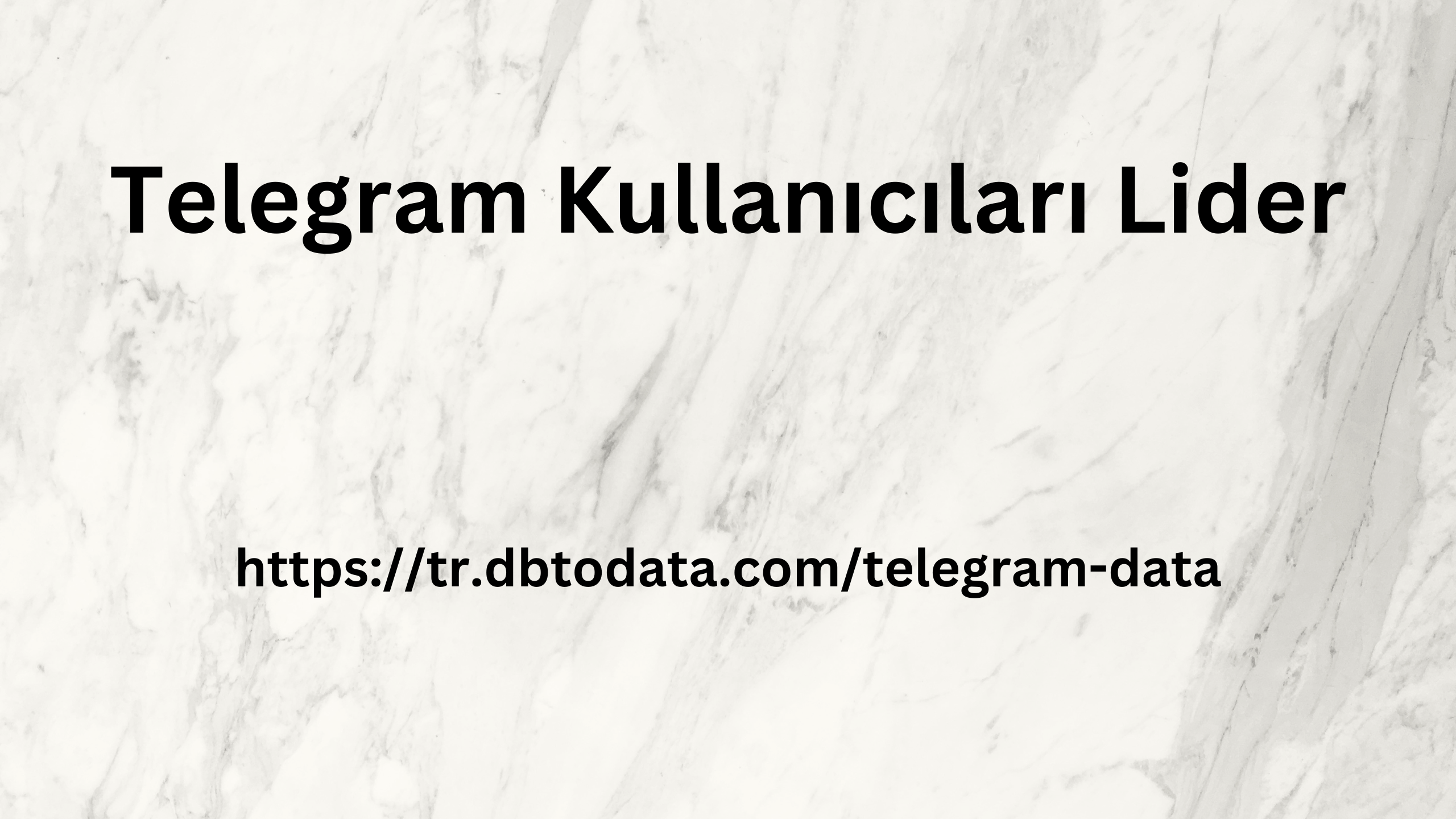 Telegram Kullanıcıları Lider