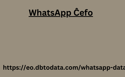 WhatsApp Ĉefo