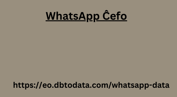 WhatsApp Ĉefo