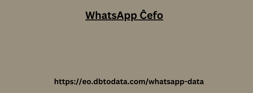 WhatsApp Ĉefo