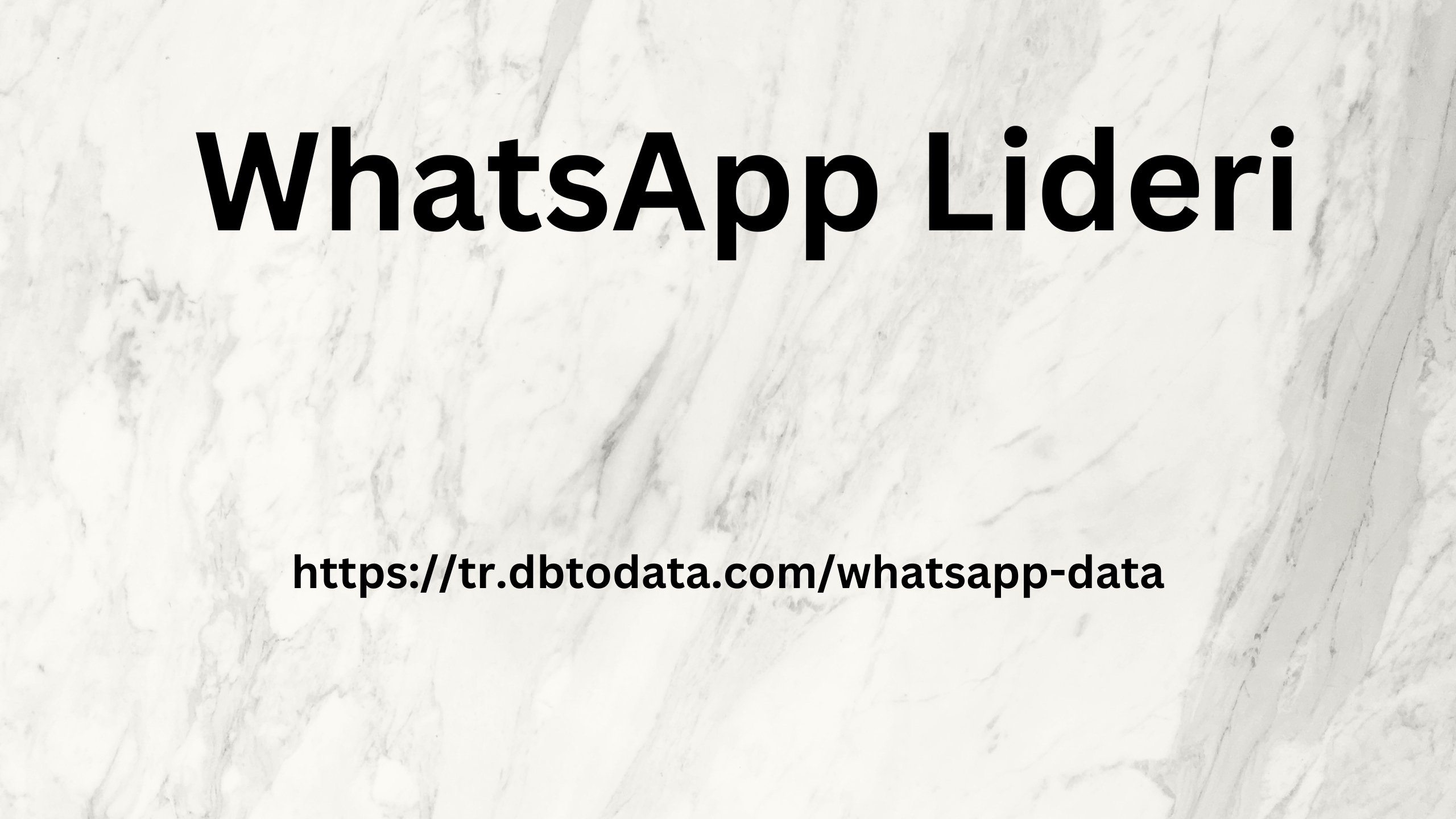 WhatsApp Lideri